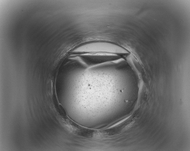 X0000064770109200602242009