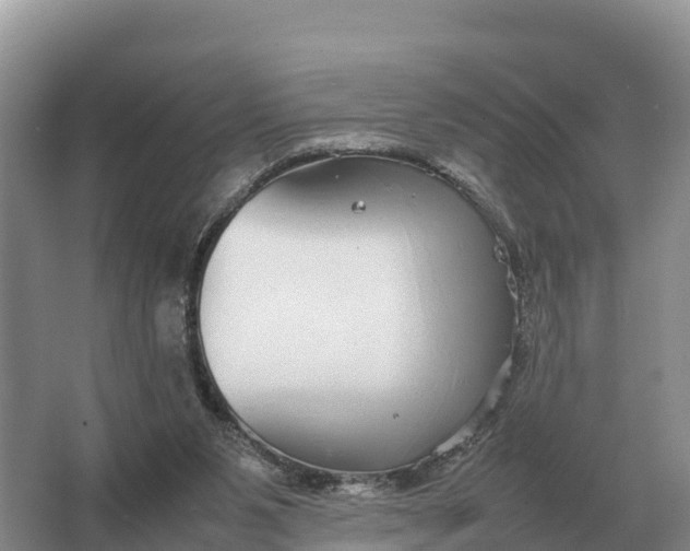 X0000064770111200602242009