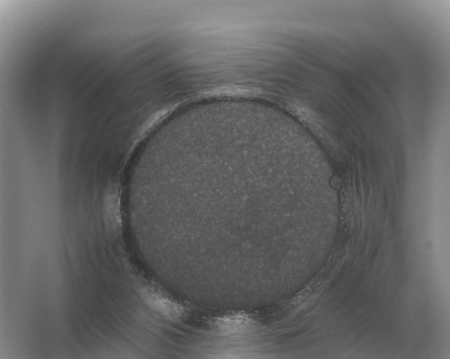 X0000064770112200602242009