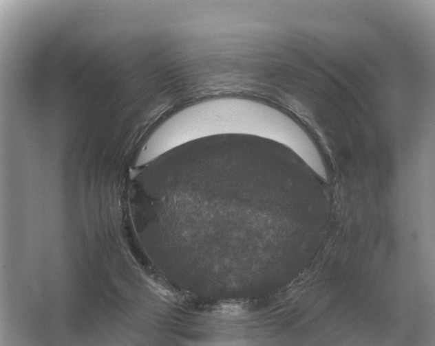 X0000064770114200602242009