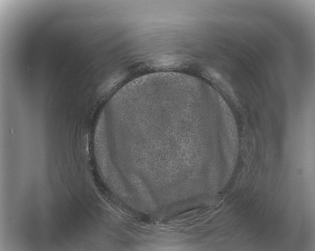 X0000064770115200602242009