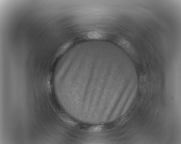 X0000064770116200602242009