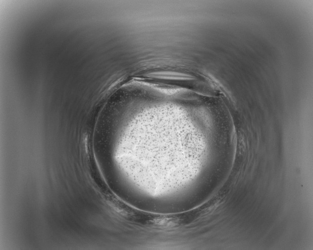 X0000064770117200602242009