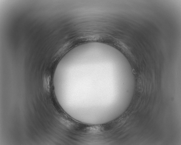 X0000064770118200602242009