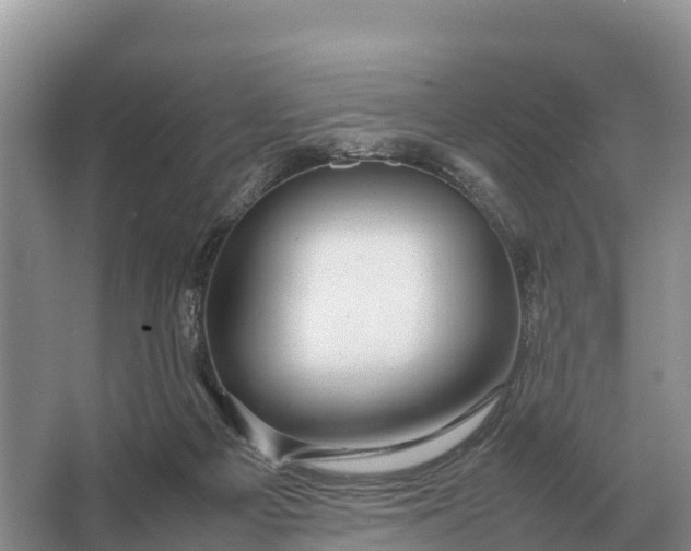 X0000064770121200602242009