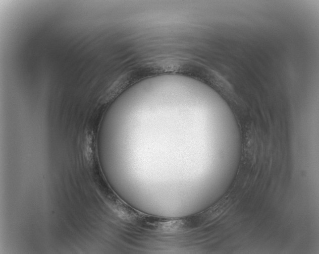 X0000064770122200602242009