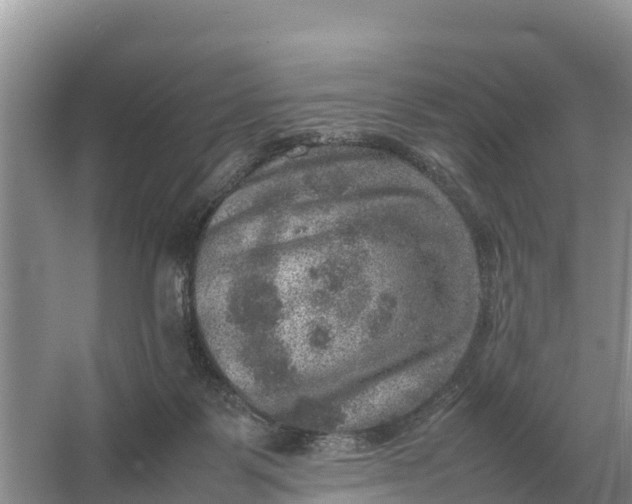 X0000064770123200602242009