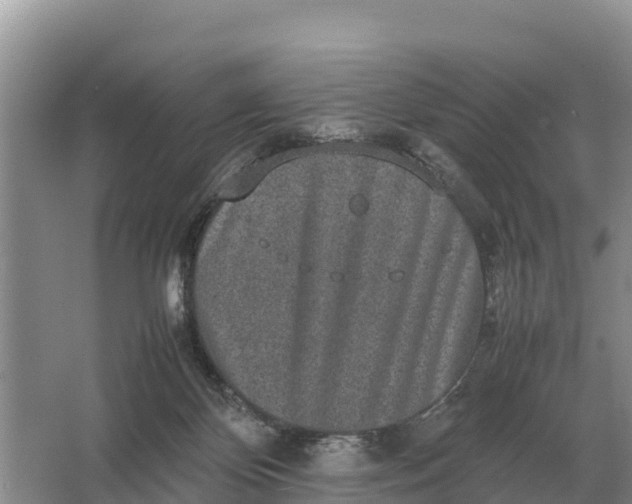 X0000064770124200602242009