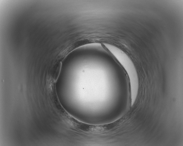 X0000064770125200602242009