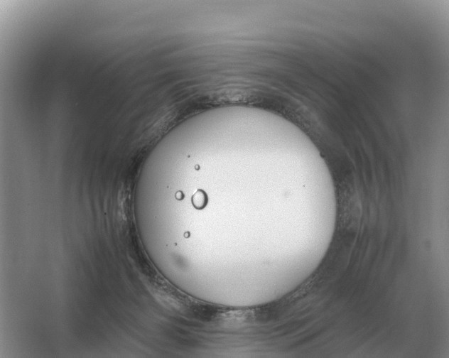 X0000064770126200602242008