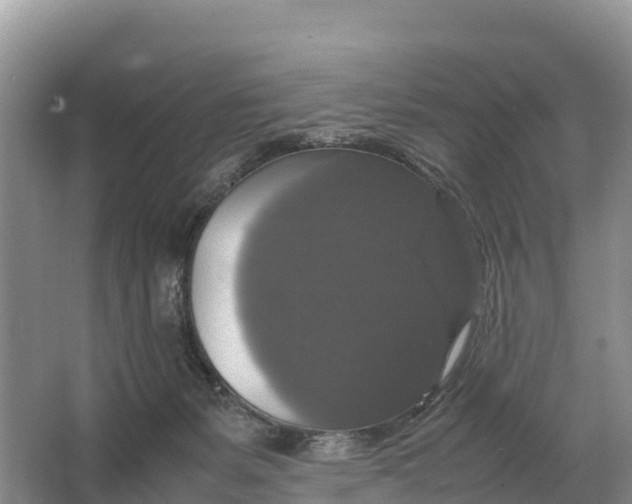 X0000064770127200602242008