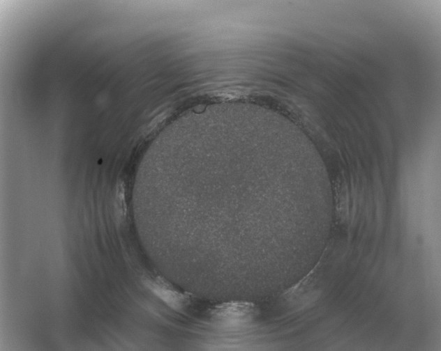 X0000064770128200602242008