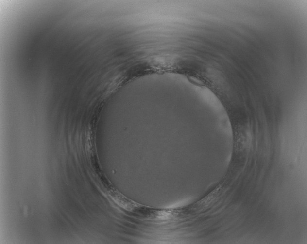 X0000064770130200602242008