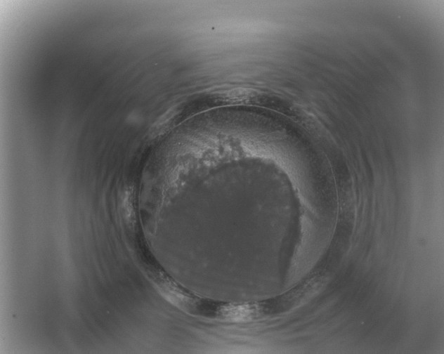 X0000064770131200602242008