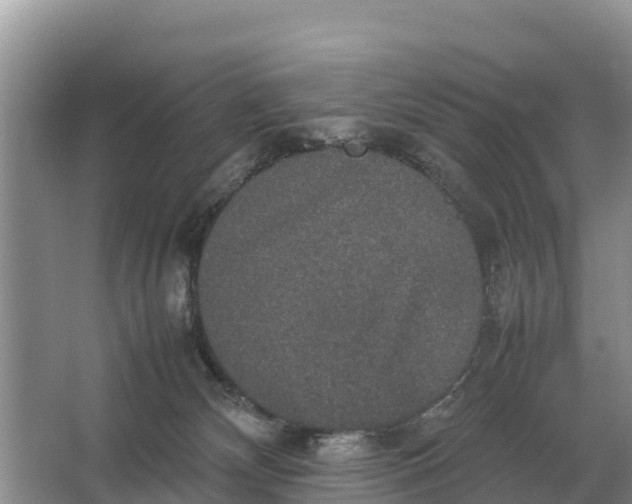 X0000064770132200602242008