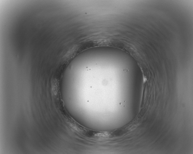 X0000064770133200602242008