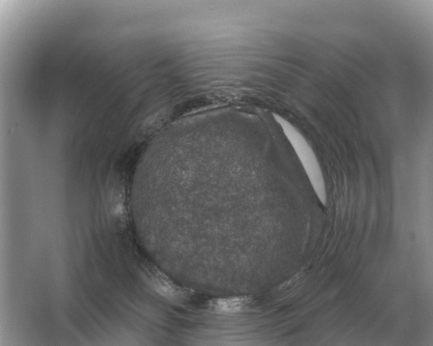 X0000064770134200602242008