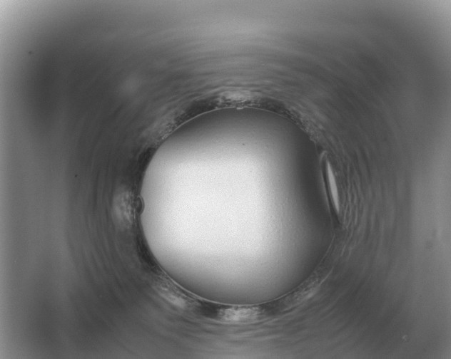 X0000064770135200602242008