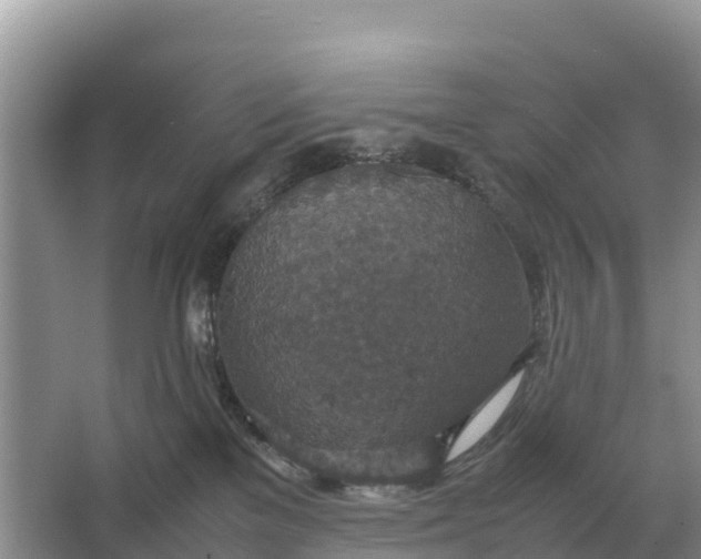 X0000064770137200602242008