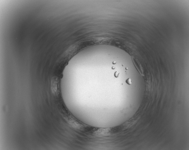 X0000064770138200602242008