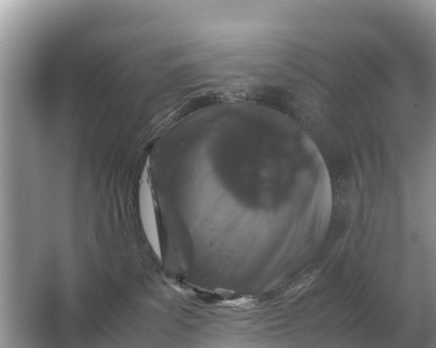 X0000064770139200602242008