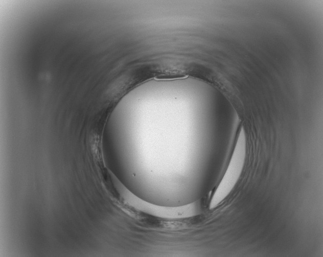 X0000064770141200602242008