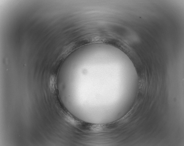 X0000064770142200602242008