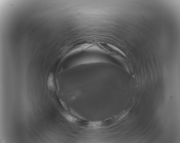 X0000064770143200602242008