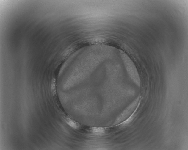 X0000064770144200602242008