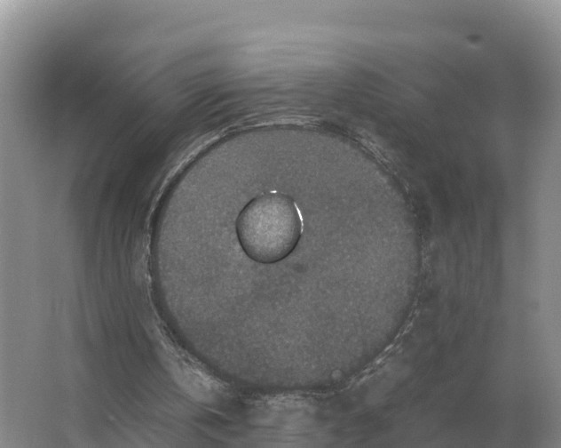 X0000064770146200602242007