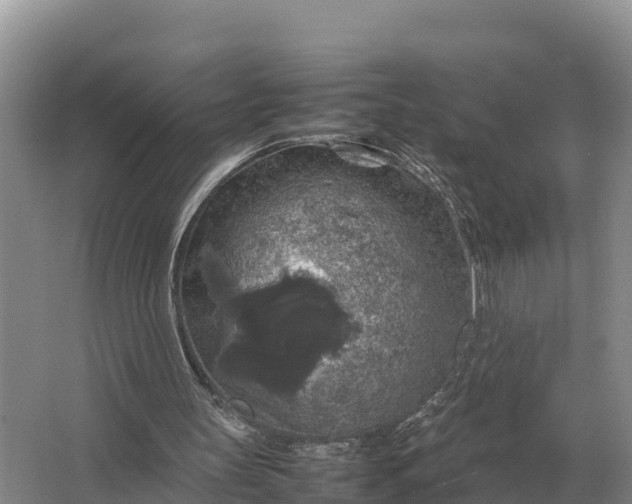 X0000064770147200602242007