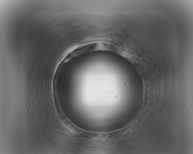 X0000064770148200602242007