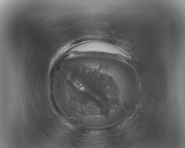 X0000064770149200602242007