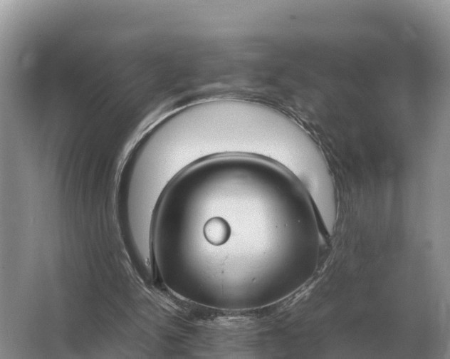 X0000064770150200602242007