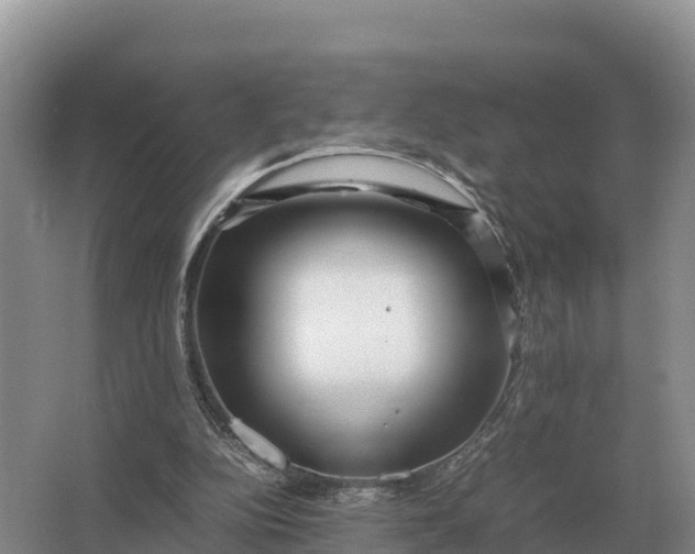 X0000064770152200602242007