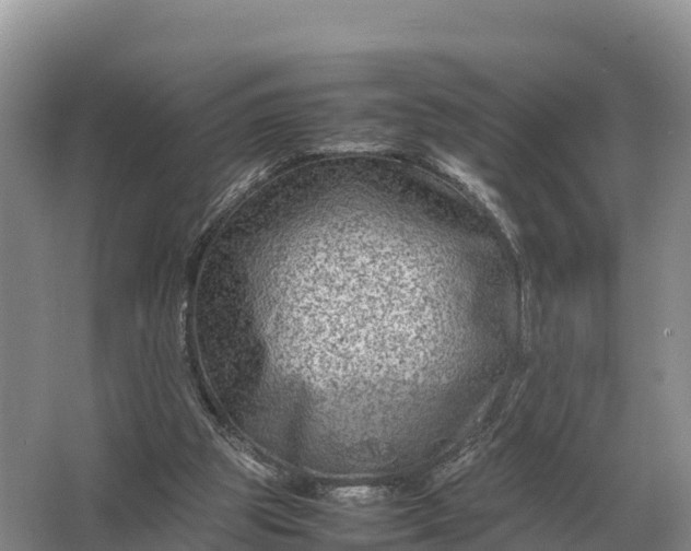 X0000064770153200602242007