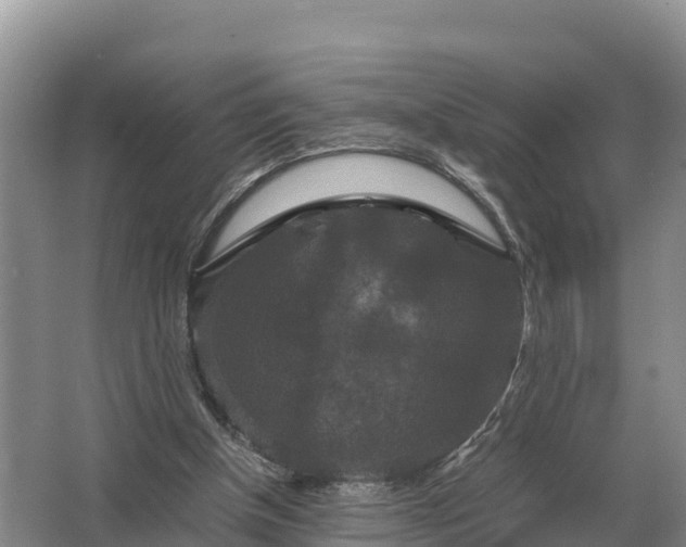 X0000064770154200602242007