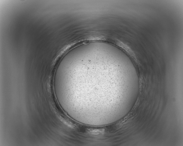 X0000064770155200602242007