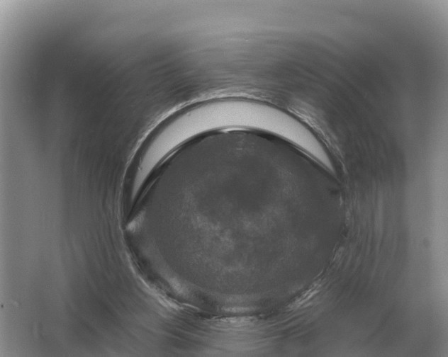 X0000064770156200602242007