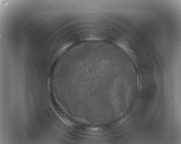 X0000064770157200602242007