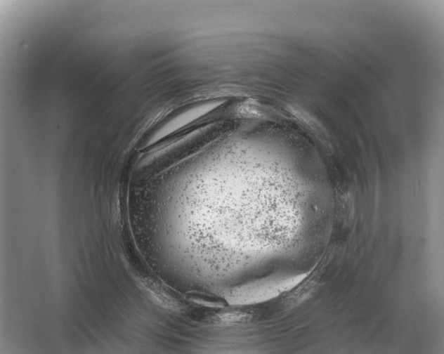 X0000064770158200602242007