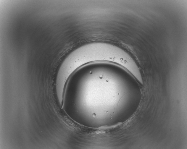 X0000064770162200602242007