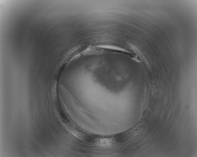 X0000064770163200602242007