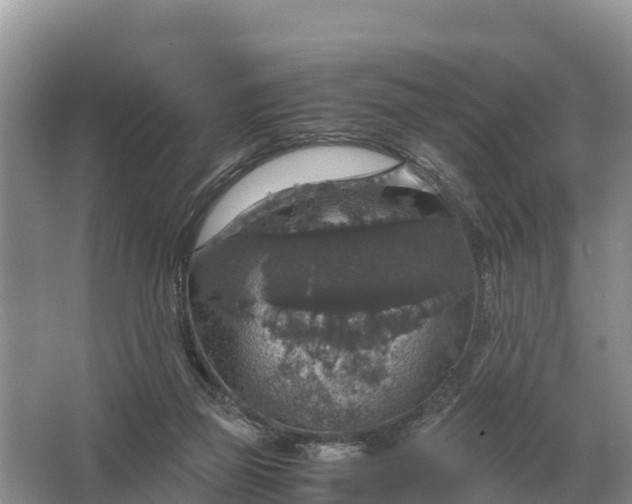 X0000064770165200602242007