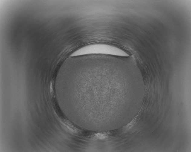 X0000064770166200602242007