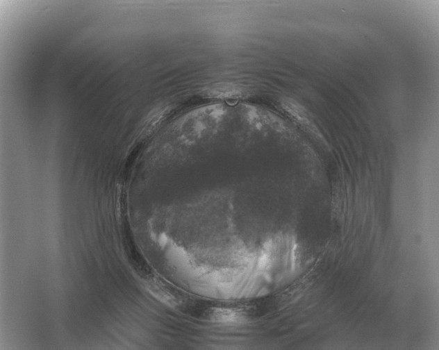 X0000064770167200602242007