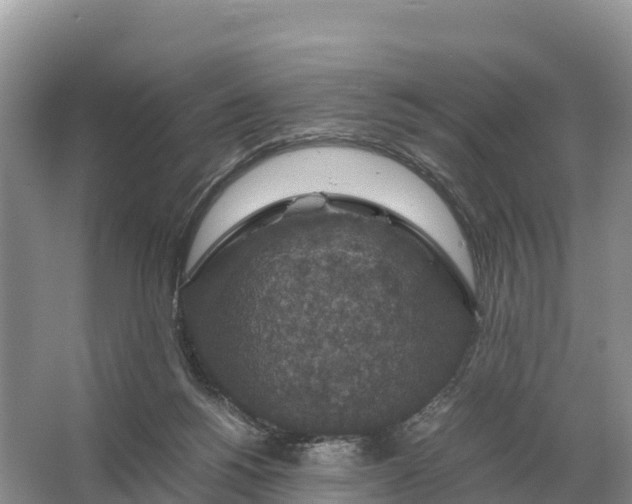 X0000064770168200602242007