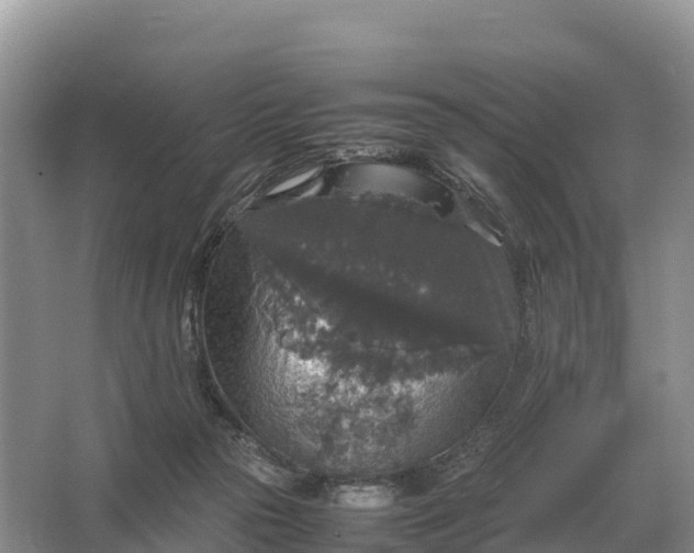 X0000064770169200602242007