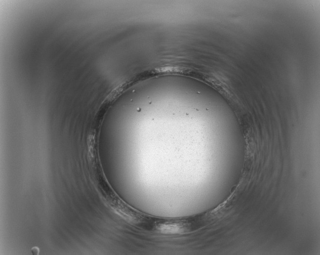 X0000064770171200602242007