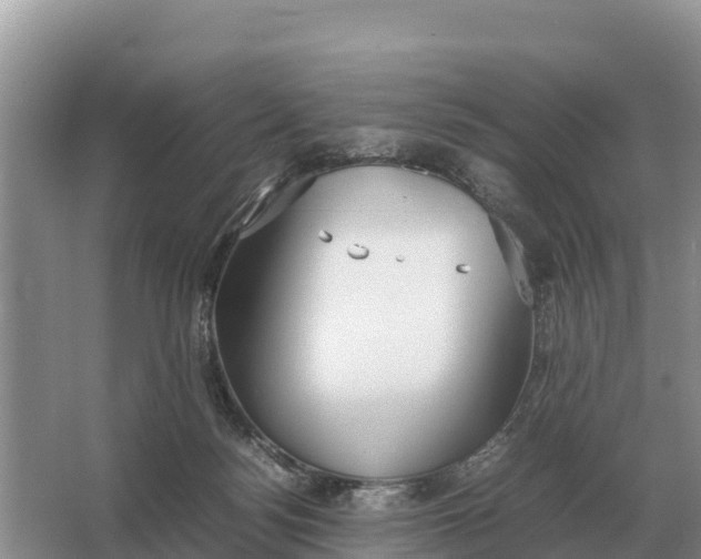 X0000064770172200602242008